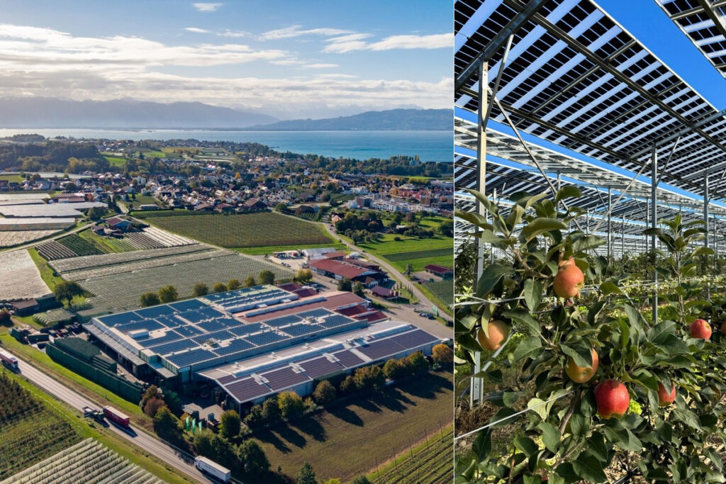 Study: solar canopy cuts apple orchard costs by 21.8 percent